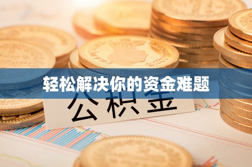 卢龙轻松解决你的资金难题