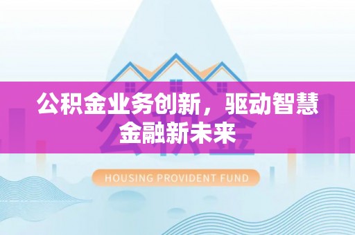 卢龙公积金业务创新，驱动智慧金融新未来