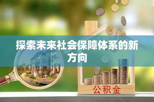 卢龙探索未来社会保障体系的新方向
