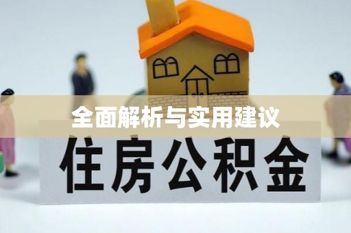 卢龙全面解析与实用建议