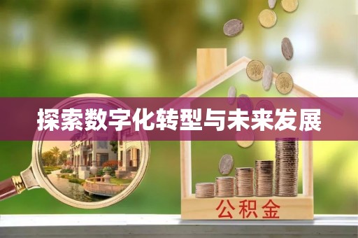 卢龙探索数字化转型与未来发展