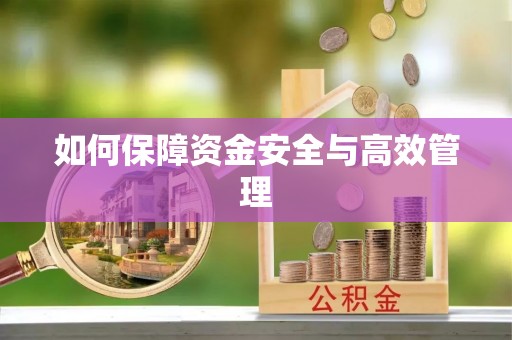 卢龙如何保障资金安全与高效管理