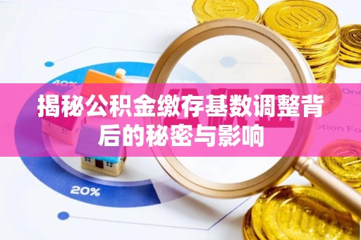 卢龙揭秘公积金缴存基数调整背后的秘密与影响