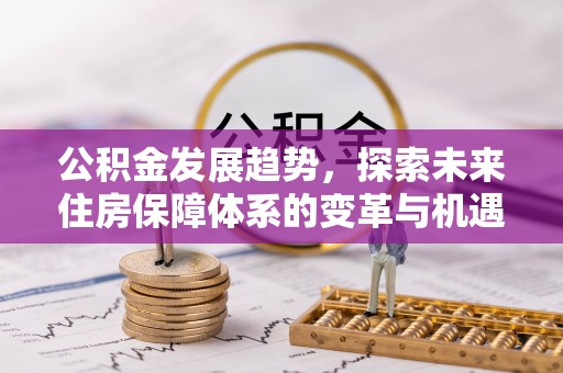卢龙公积金发展趋势，探索未来住房保障体系的变革与机遇