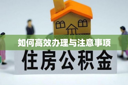 卢龙如何高效办理与注意事项