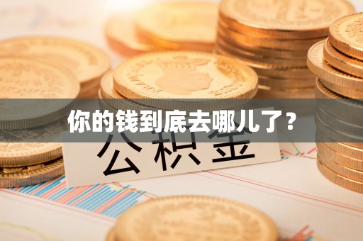 卢龙你的钱到底去哪儿了？