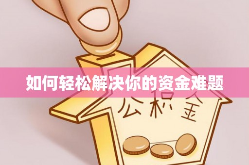 卢龙如何轻松解决你的资金难题