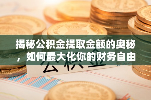 卢龙揭秘公积金提取金额的奥秘，如何最大化你的财务自由