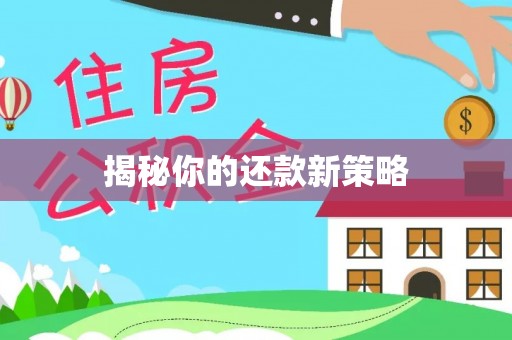 卢龙揭秘你的还款新策略