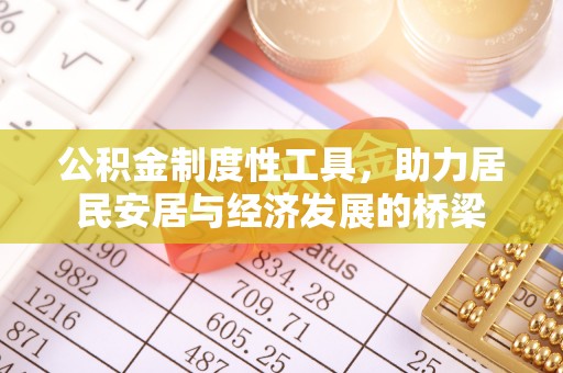 卢龙公积金制度性工具，助力居民安居与经济发展的桥梁