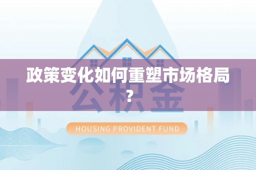 卢龙政策变化如何重塑市场格局？