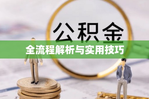 卢龙全流程解析与实用技巧