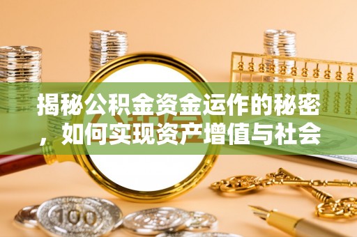 卢龙揭秘公积金资金运作的秘密，如何实现资产增值与社会福利双赢？