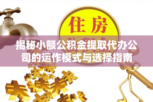 卢龙揭秘小额公积金提取代办公司的运作模式与选择指南