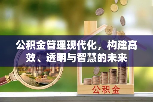 卢龙公积金管理现代化，构建高效、透明与智慧的未来