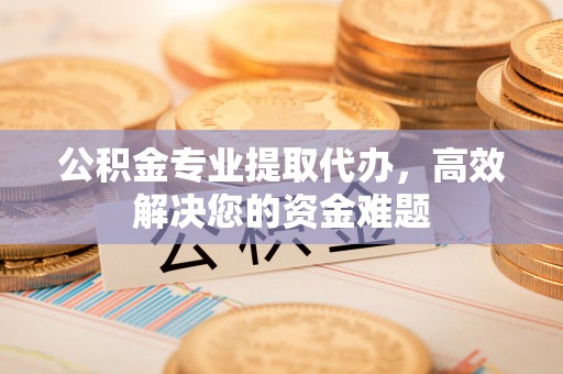 卢龙公积金专业提取代办，高效解决您的资金难题
