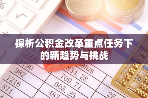 卢龙探析公积金改革重点任务下的新趋势与挑战