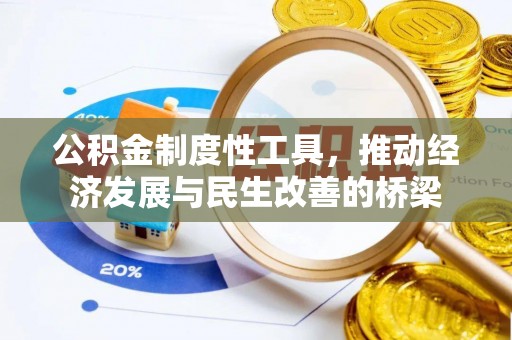 卢龙公积金制度性工具，推动经济发展与民生改善的桥梁