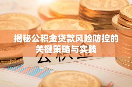 卢龙揭秘公积金贷款风险防控的关键策略与实践