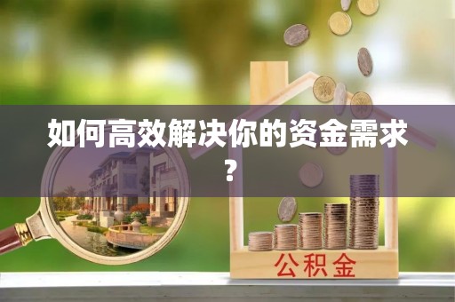 卢龙如何高效解决你的资金需求？