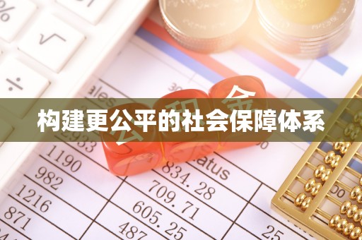 卢龙构建更公平的社会保障体系