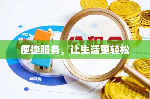 卢龙便捷服务，让生活更轻松