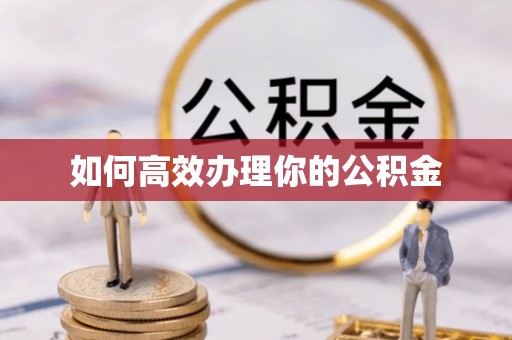 卢龙如何高效办理你的公积金