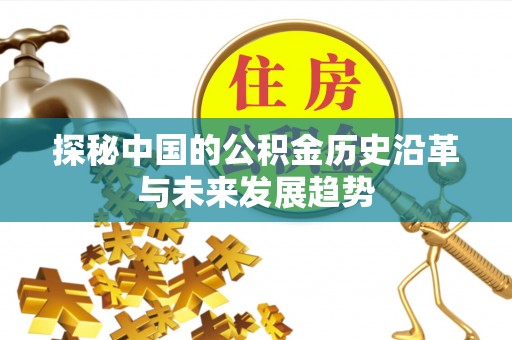 卢龙探秘中国的公积金历史沿革与未来发展趋势