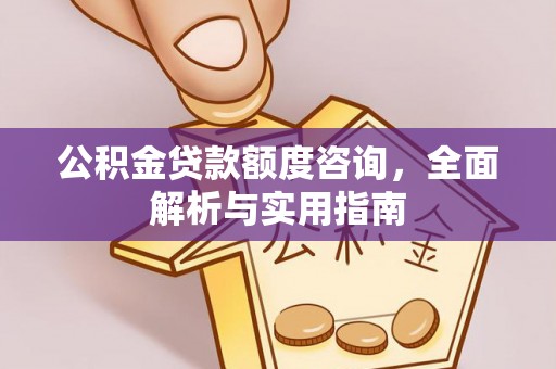 卢龙公积金贷款额度咨询，全面解析与实用指南