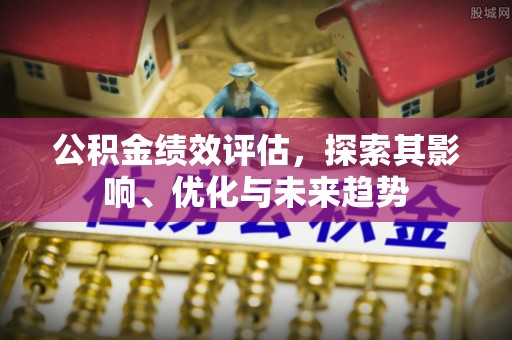 卢龙公积金绩效评估，探索其影响、优化与未来趋势