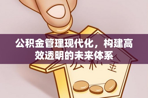 卢龙公积金管理现代化，构建高效透明的未来体系