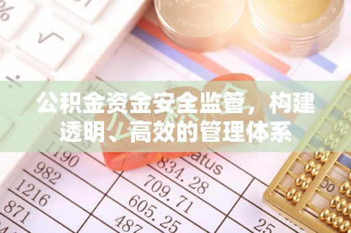 卢龙公积金资金安全监管，构建透明、高效的管理体系