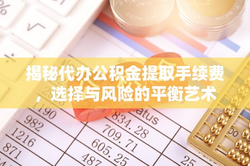 卢龙揭秘代办公积金提取手续费，选择与风险的平衡艺术