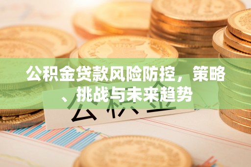 卢龙公积金贷款风险防控，策略、挑战与未来趋势