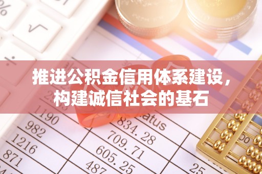 卢龙推进公积金信用体系建设，构建诚信社会的基石