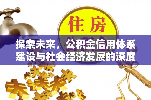 卢龙探索未来，公积金信用体系建设与社会经济发展的深度融合