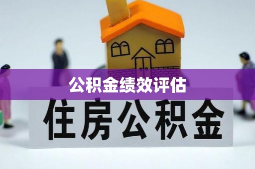 卢龙公积金绩效评估