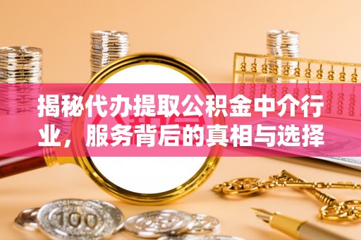 卢龙揭秘代办提取公积金中介行业，服务背后的真相与选择指南