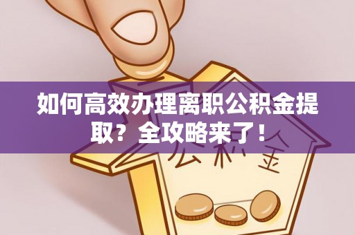 卢龙如何高效办理离职公积金提取？全攻略来了！