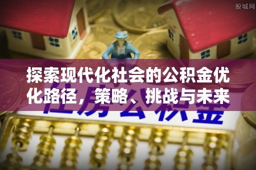 卢龙探索现代化社会的公积金优化路径，策略、挑战与未来展望