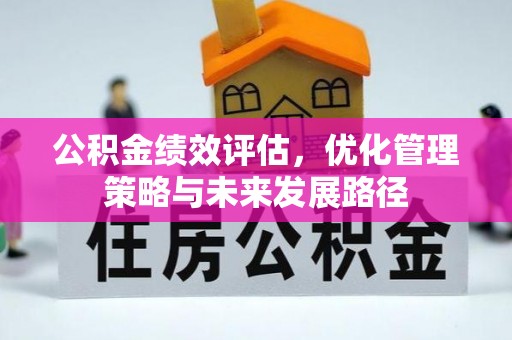 卢龙公积金绩效评估，优化管理策略与未来发展路径