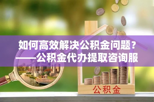 卢龙如何高效解决公积金问题？——公积金代办提取咨询服务指南