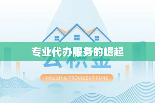 卢龙专业代办服务的崛起