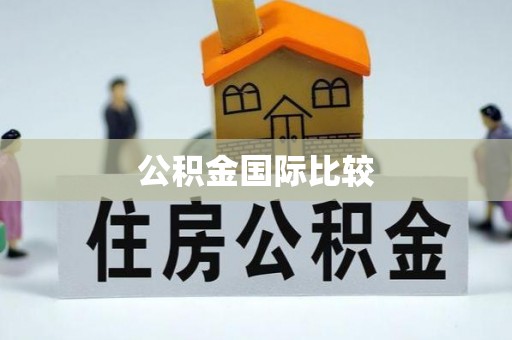 卢龙公积金国际比较