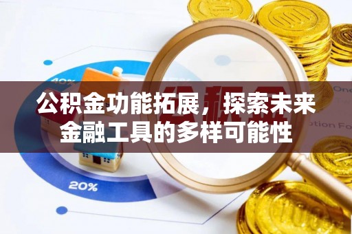 卢龙公积金功能拓展，探索未来金融工具的多样可能性