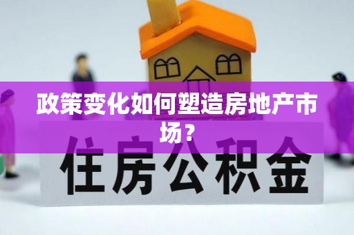 卢龙政策变化如何塑造房地产市场？