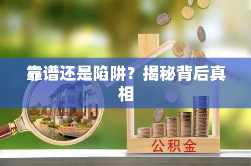 卢龙靠谱还是陷阱？揭秘背后真相