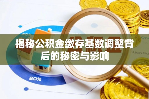 卢龙揭秘公积金缴存基数调整背后的秘密与影响