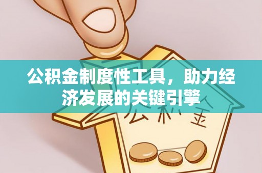 卢龙公积金制度性工具，助力经济发展的关键引擎