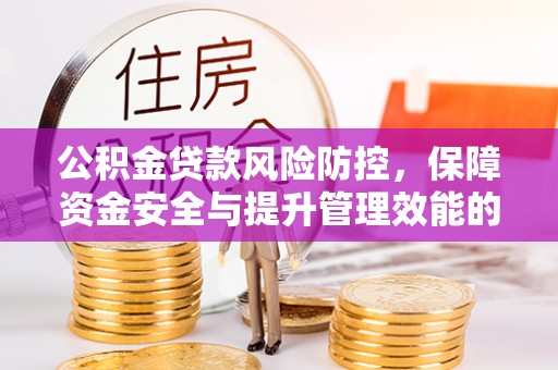 卢龙公积金贷款风险防控，保障资金安全与提升管理效能的多维度探索